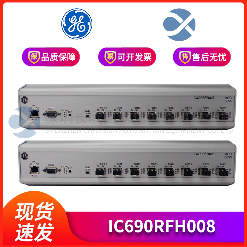 GE IC690RFH008 (1)